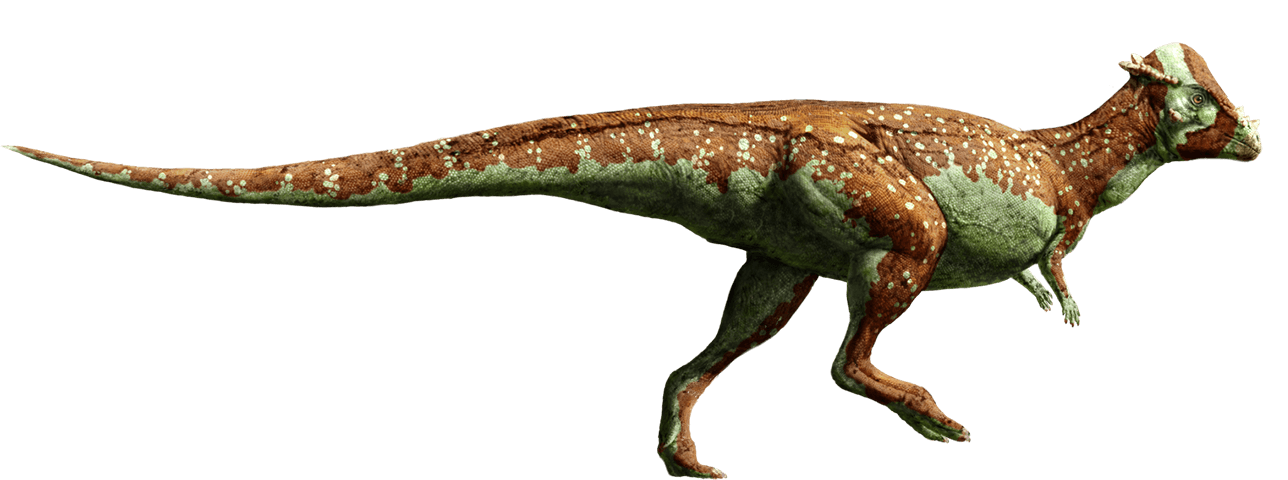 dinosaur
