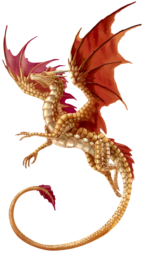 dragon